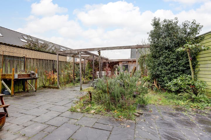 Foto 30 van Lupine 6