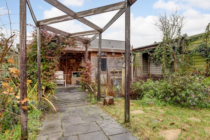 Foto 31 van Lupine 6