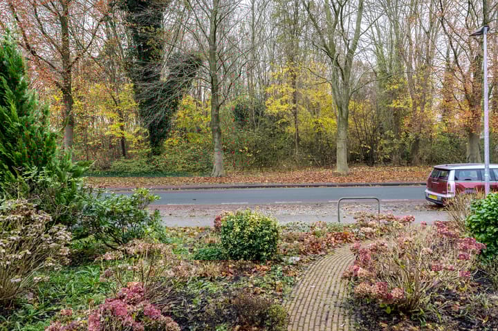 Foto 33 van Skager Rak 81