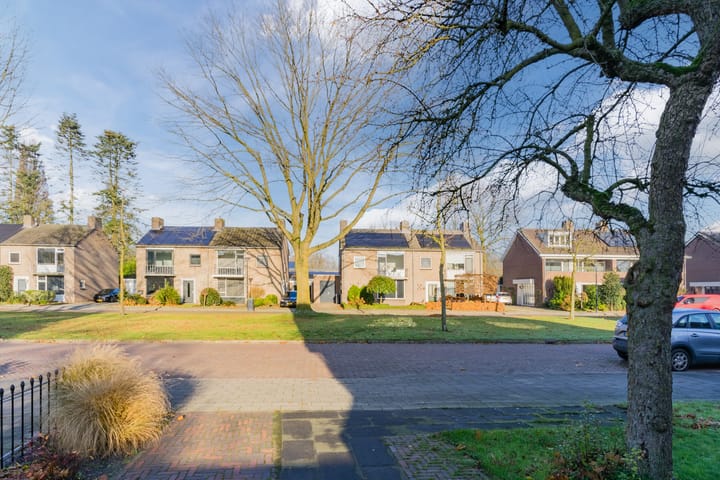 Foto 53 van Duizendschoonstraat 33