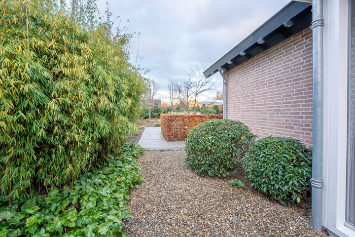 Foto 34 van de Roef 10