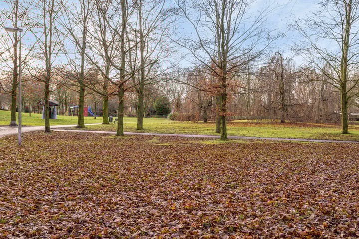 Foto 29 van Afrikalaan 27