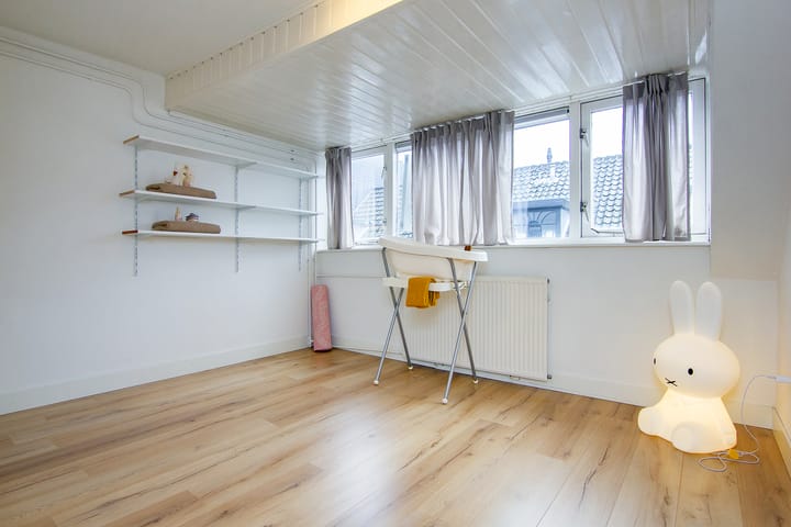 Foto 21 van Jan Steenstraat 11