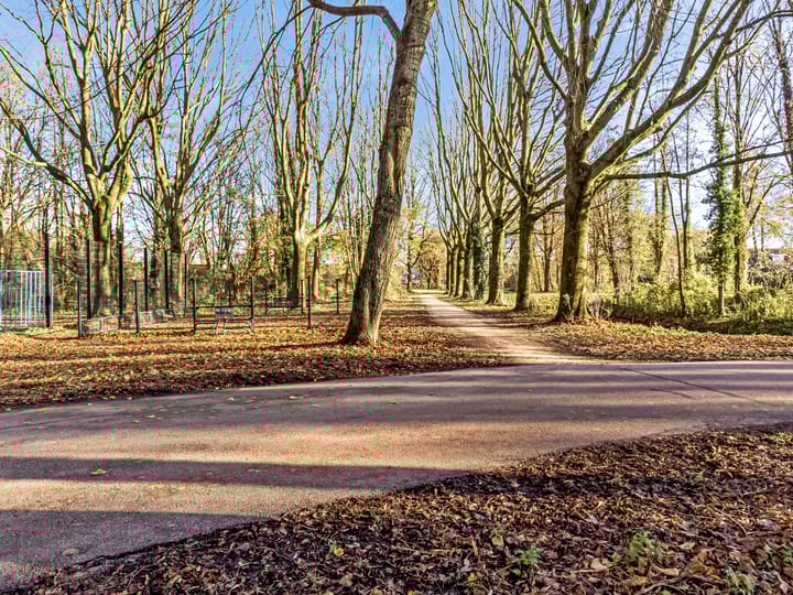 Foto 14 van Schepenen 56