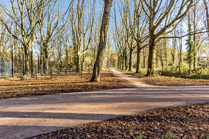 Bekijk foto 14 van Schepenen 56