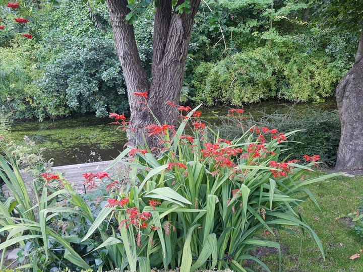 Foto 36 van Schepenen 56