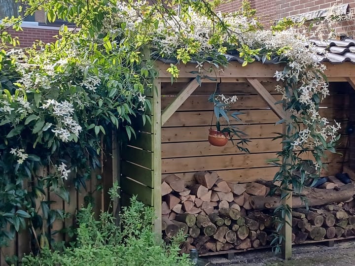 Foto 37 van Schepenen 56