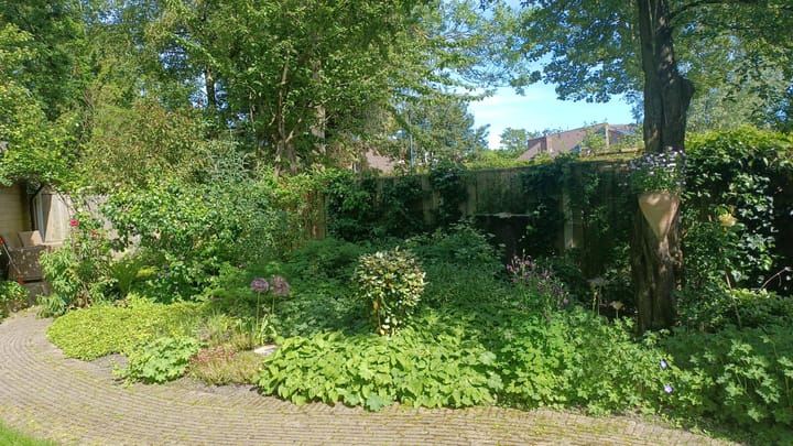 Foto 38 van Schepenen 56