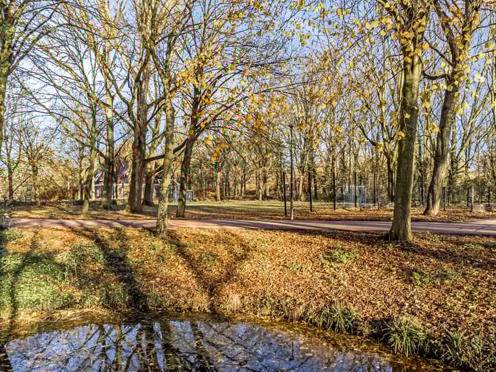 Foto 13 van Schepenen 56