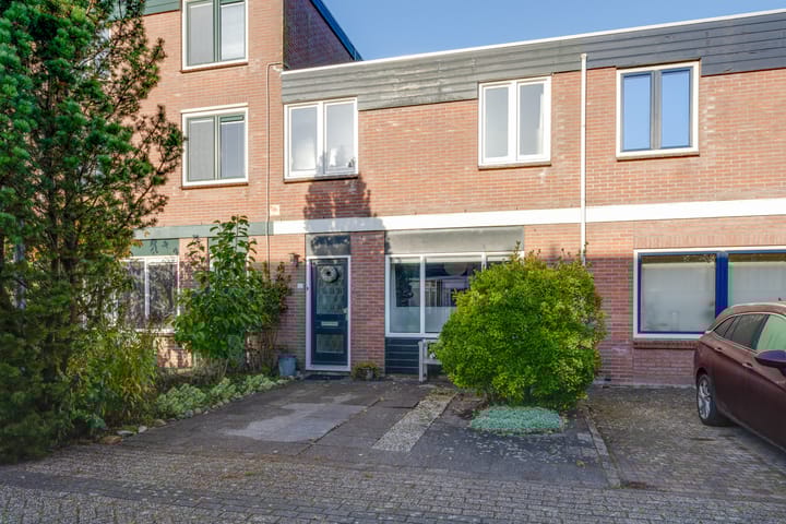 Foto 2 van Kweldergras 25