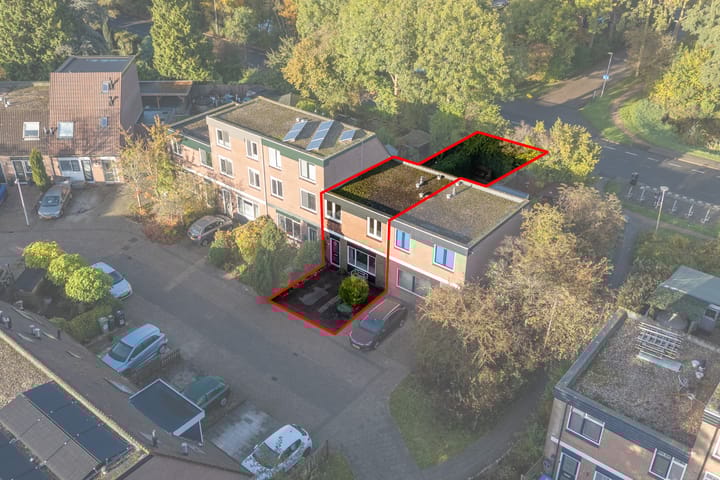 Foto 4 van Kweldergras 25