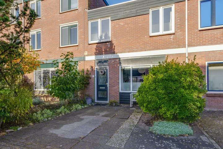 Foto 10 van Kweldergras 25