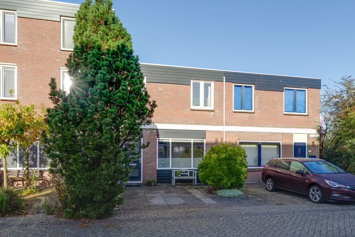 Foto 9 van Kweldergras 25