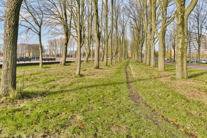 Foto 19 van Burgemeester Hogguerstraat 181