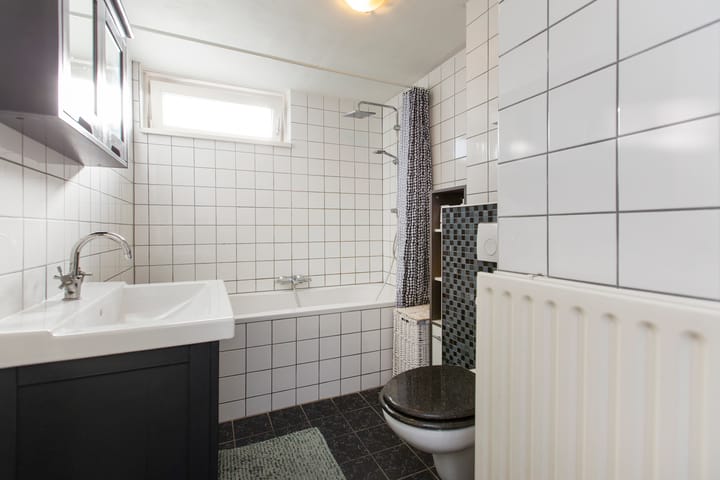 Foto 25 van Kamelenspoor 236