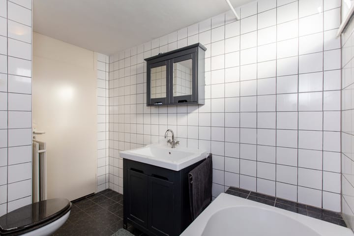 Foto 26 van Kamelenspoor 236