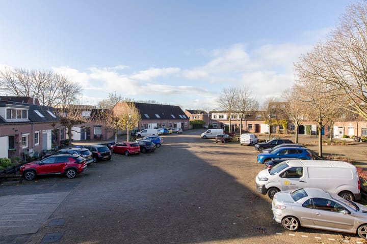 Foto 28 van Kamelenspoor 236