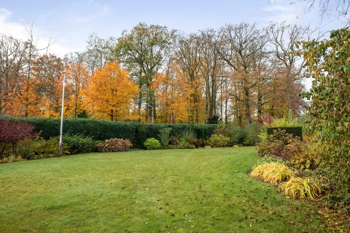 Foto 2 van Oranjelaan 78