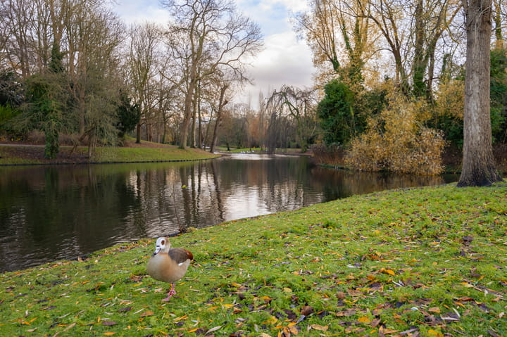 Foto 47 van Plantsoenstraat 25