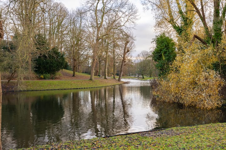 Foto 48 van Plantsoenstraat 25