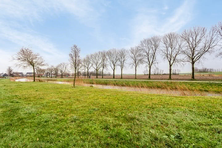 Foto 28 van Kleiput 43