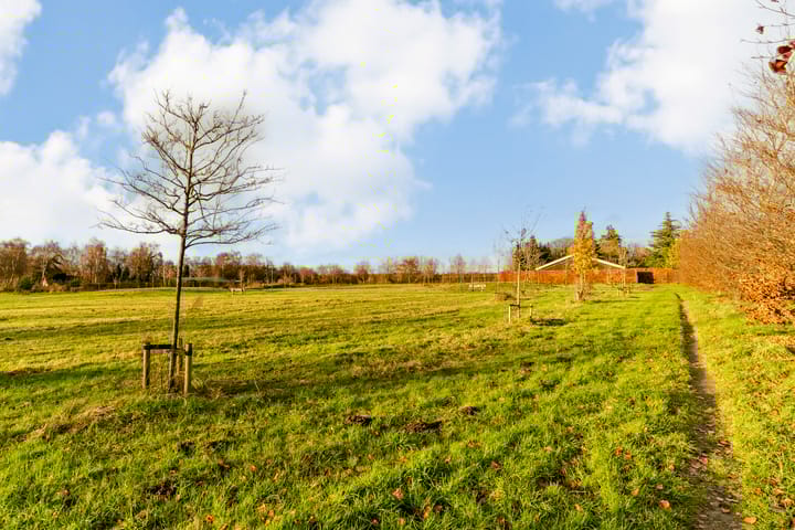 Foto 53 van Wildschut 17