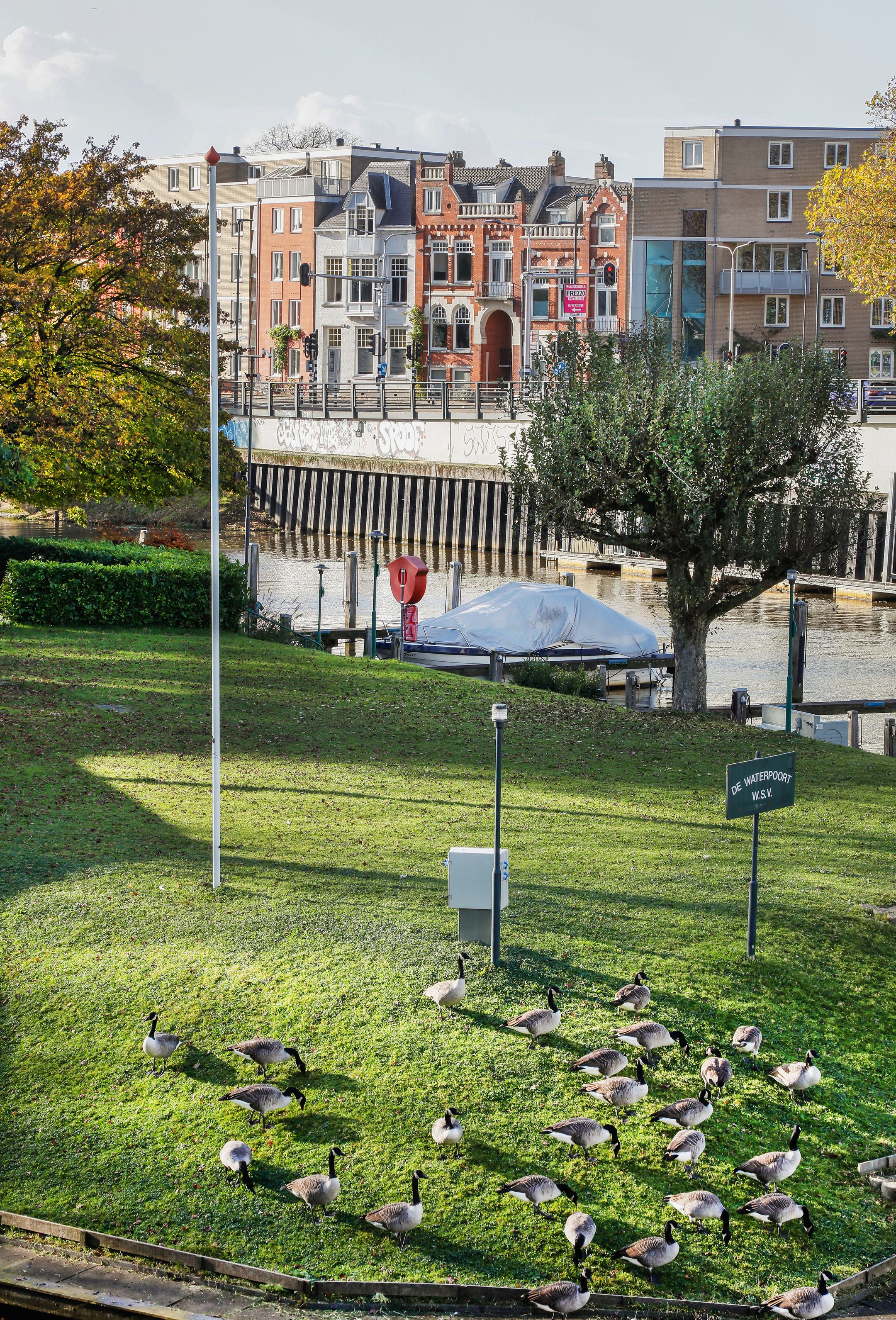 Foto 51 van Brugplein 2