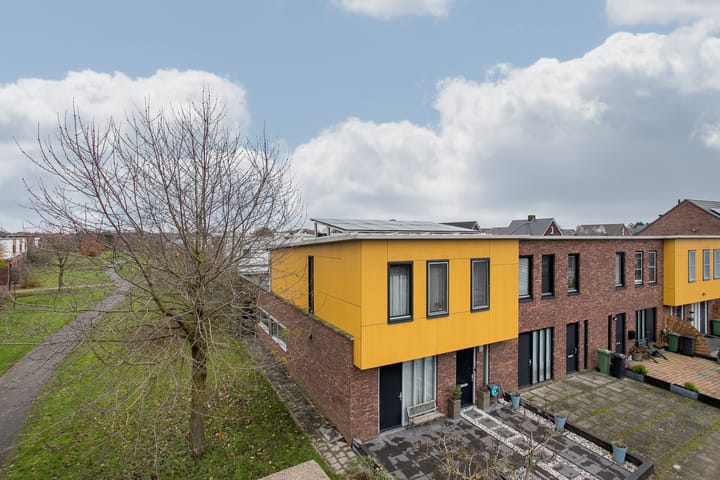 Foto 1 van Snavelbies 25