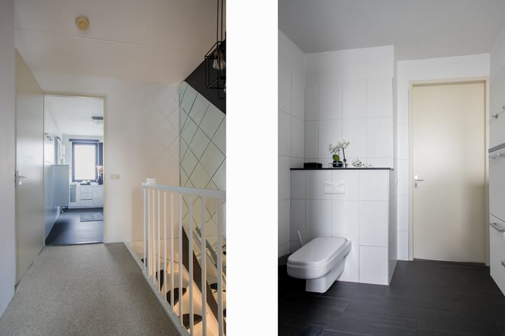 Foto 20 van Snavelbies 25