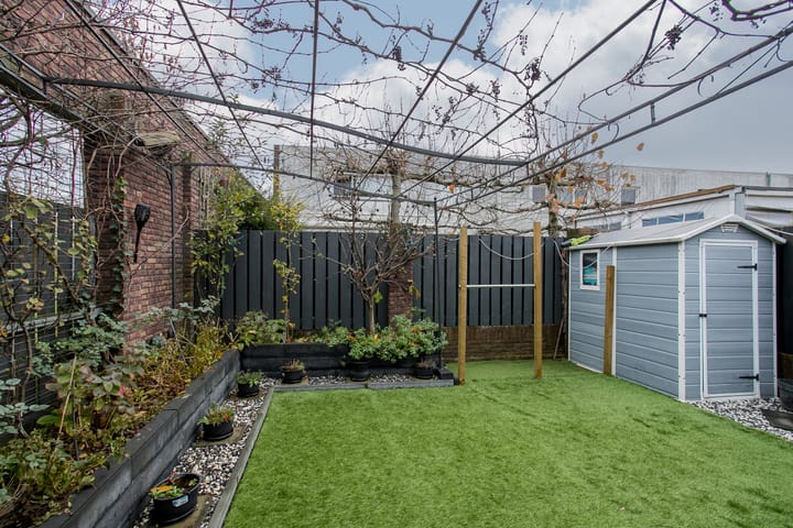 Foto 24 van Snavelbies 25