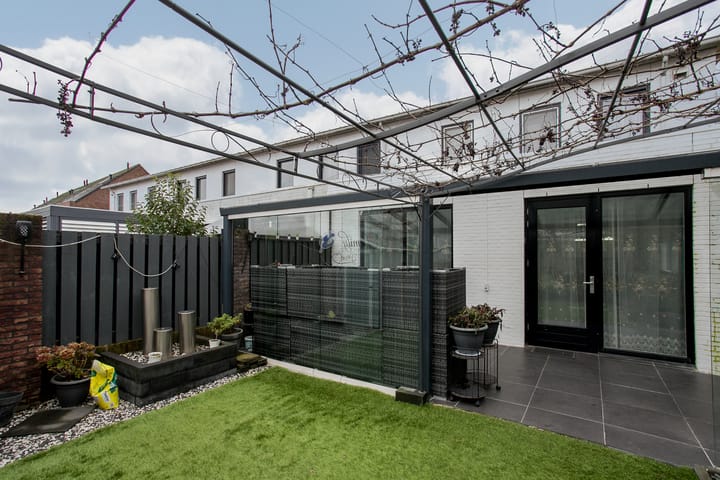 Foto 25 van Snavelbies 25