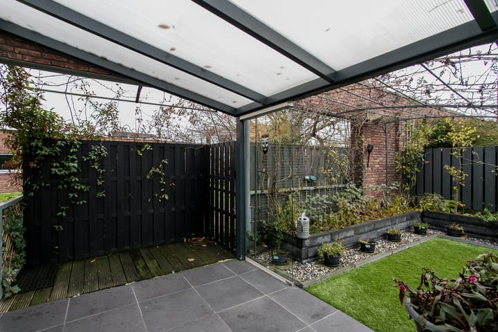 Foto 26 van Snavelbies 25