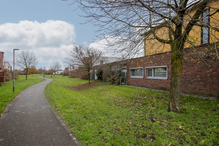 Foto 27 van Snavelbies 25