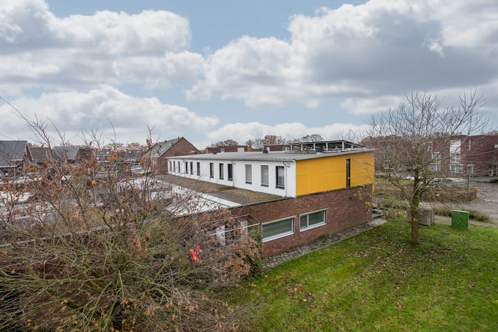 Foto 28 van Snavelbies 25