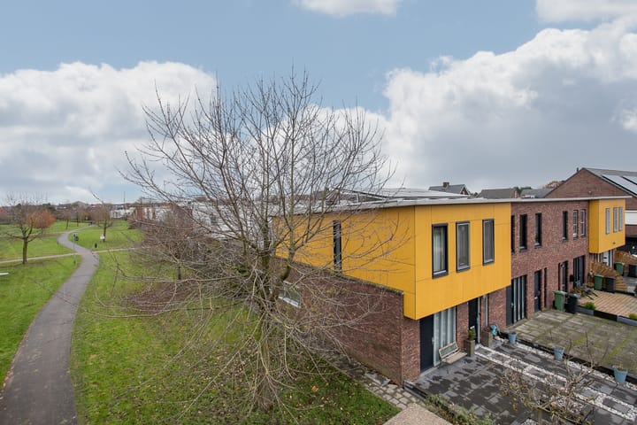 Foto 29 van Snavelbies 25