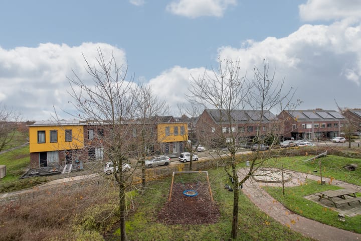 Foto 30 van Snavelbies 25