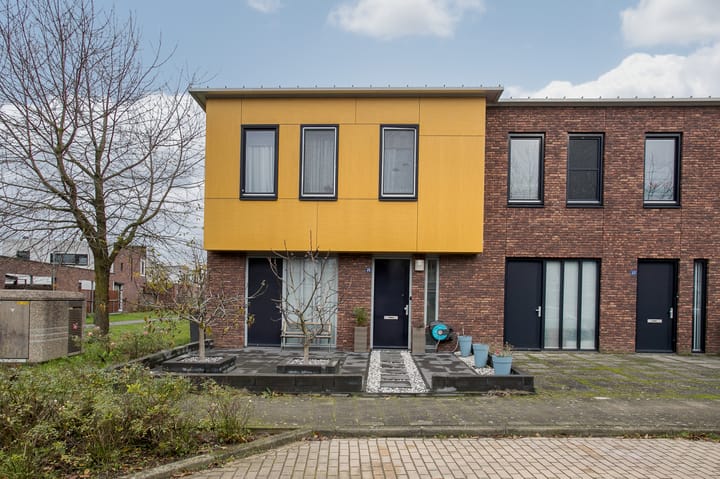 Foto 31 van Snavelbies 25