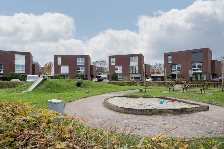 Foto 33 van Snavelbies 25