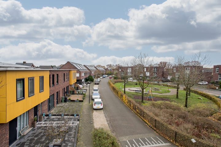 Foto 34 van Snavelbies 25