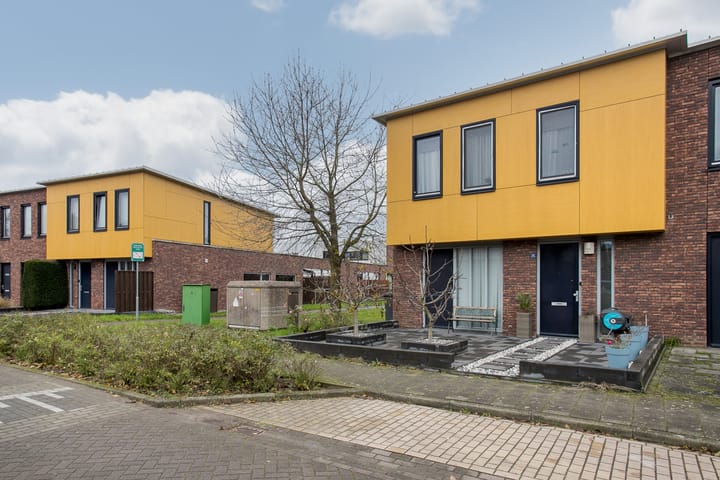 Foto 35 van Snavelbies 25