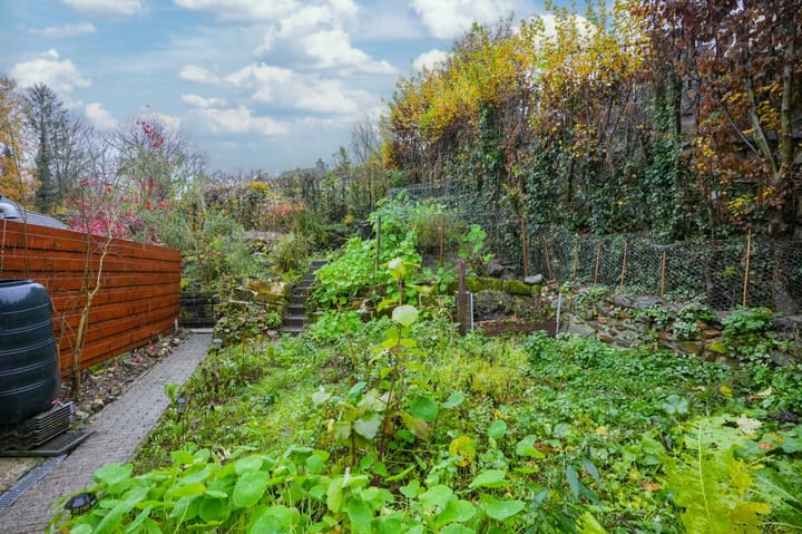 Foto 28 van Kelderweg 10