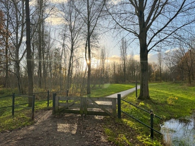 Foto 36 van Tichelaar 50