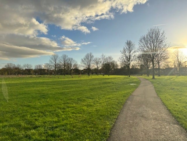 Foto 37 van Tichelaar 50