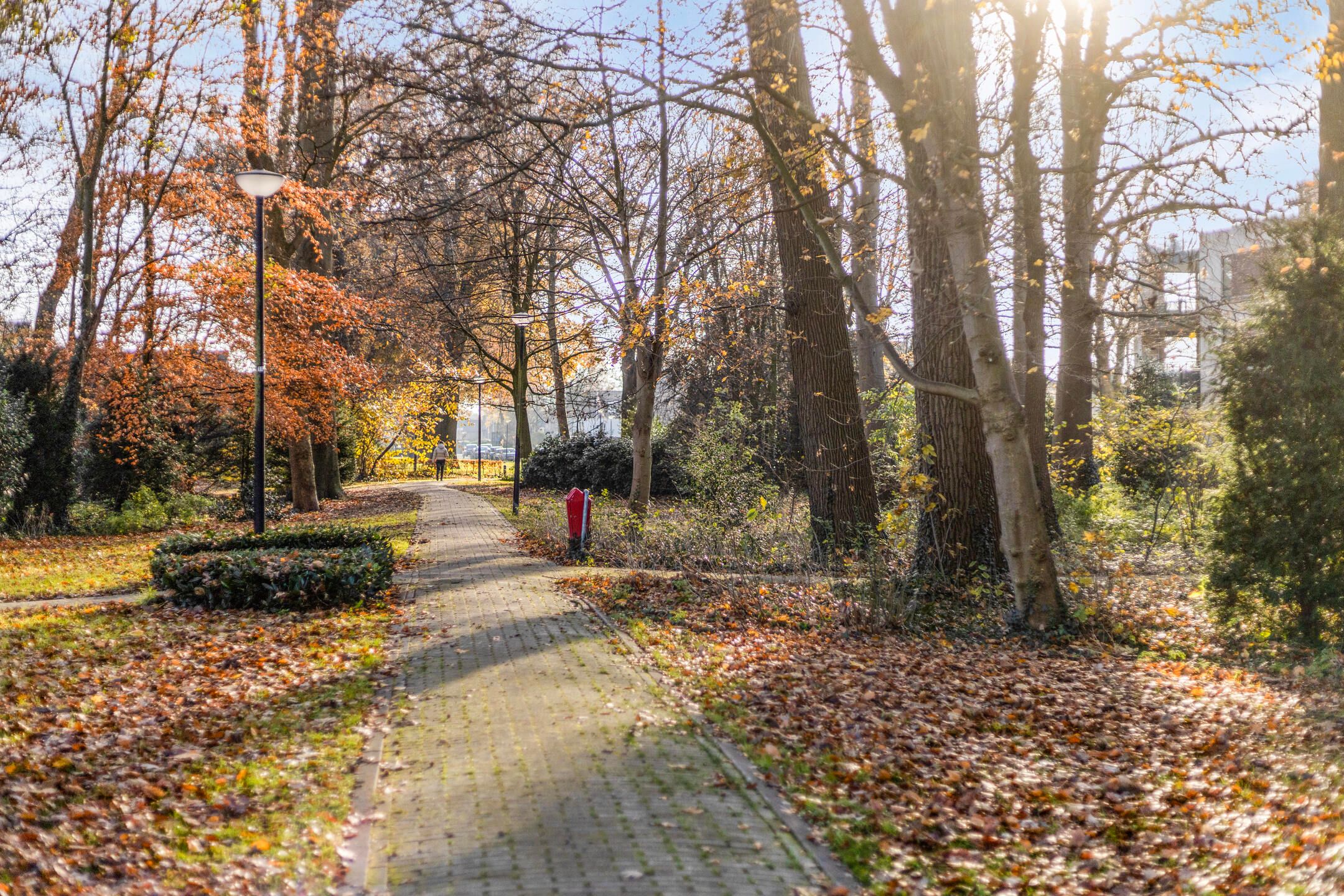 Foto 30 van Plantlust 69