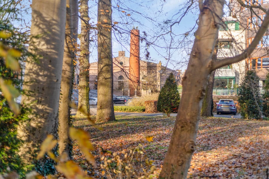 Foto 31 van Plantlust 69