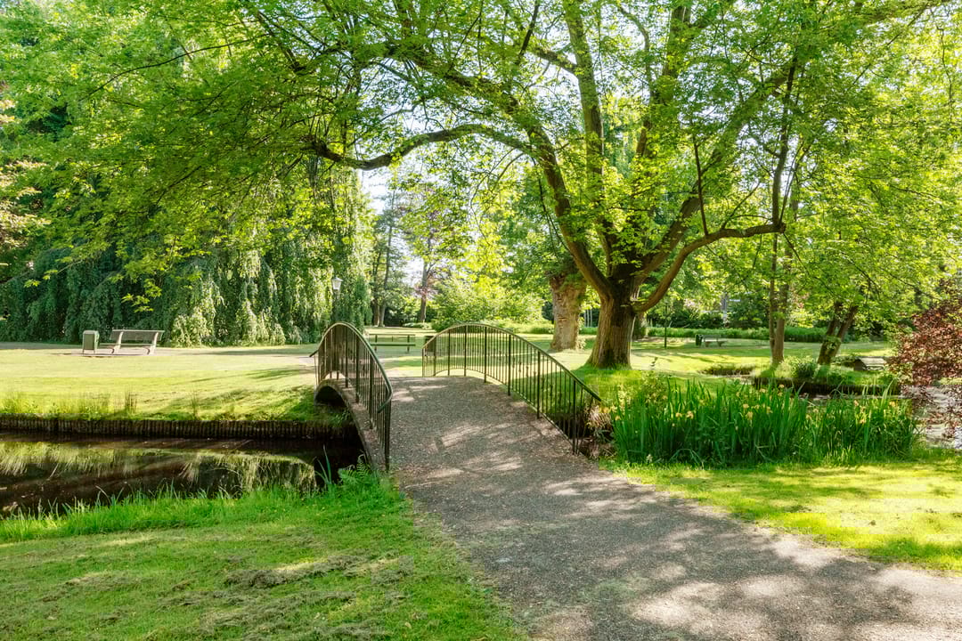 Foto 32 van Plantlust 69