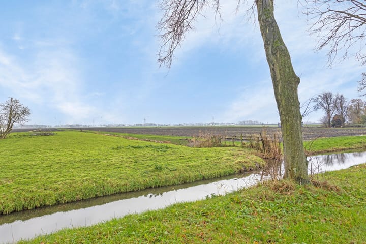 Foto 2 van Hauwert 45