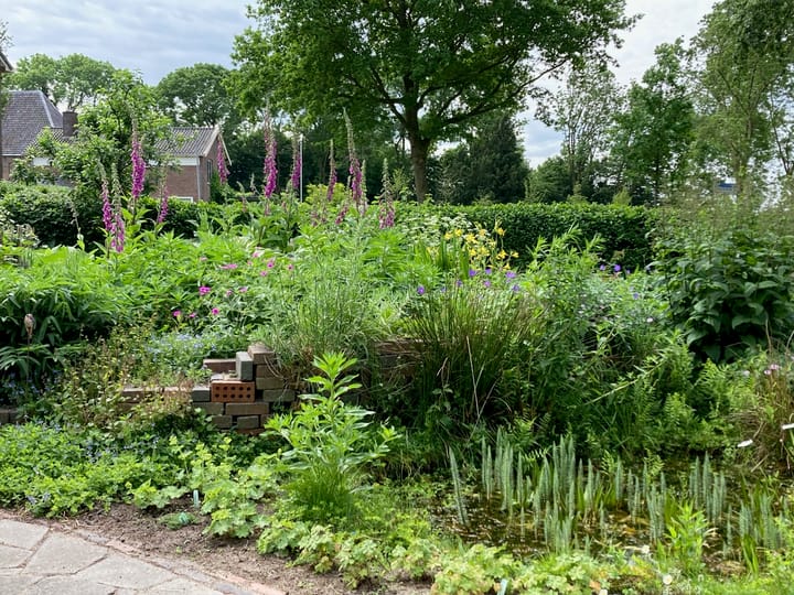 Foto 47 van Dobbestraat 2