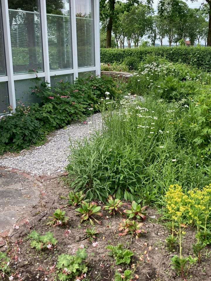 Foto 48 van Dobbestraat 2