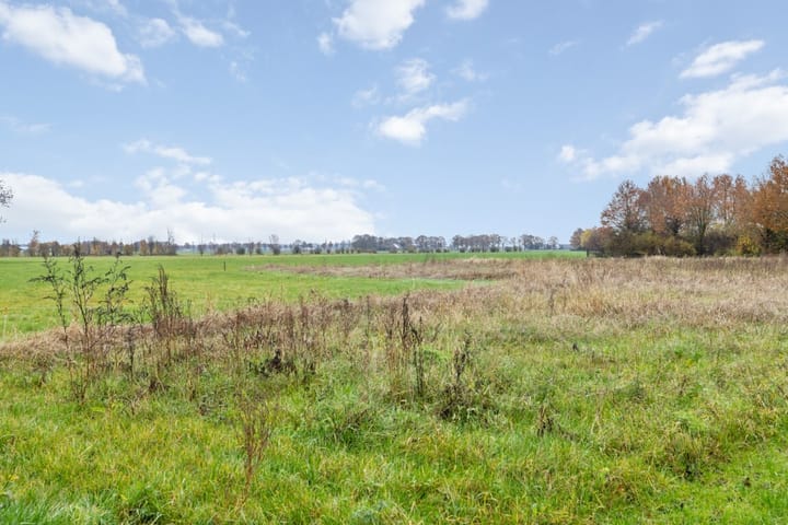 Foto 38 van Middelerstraat 11